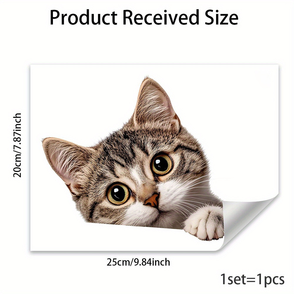 Funny Cat Peeking Window Wall  - Home Bathroom Window recension och pris
