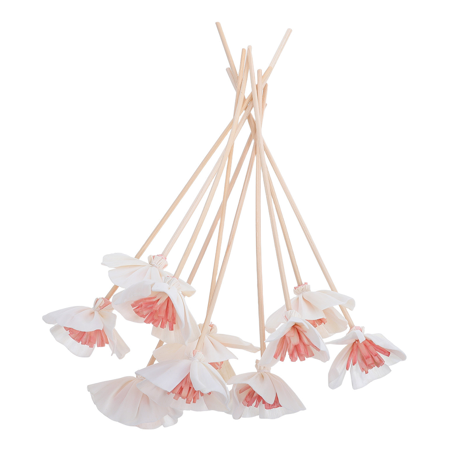 10Pcs Essential Oil Diffuser S - Home Bathroom Essentials recension och pris