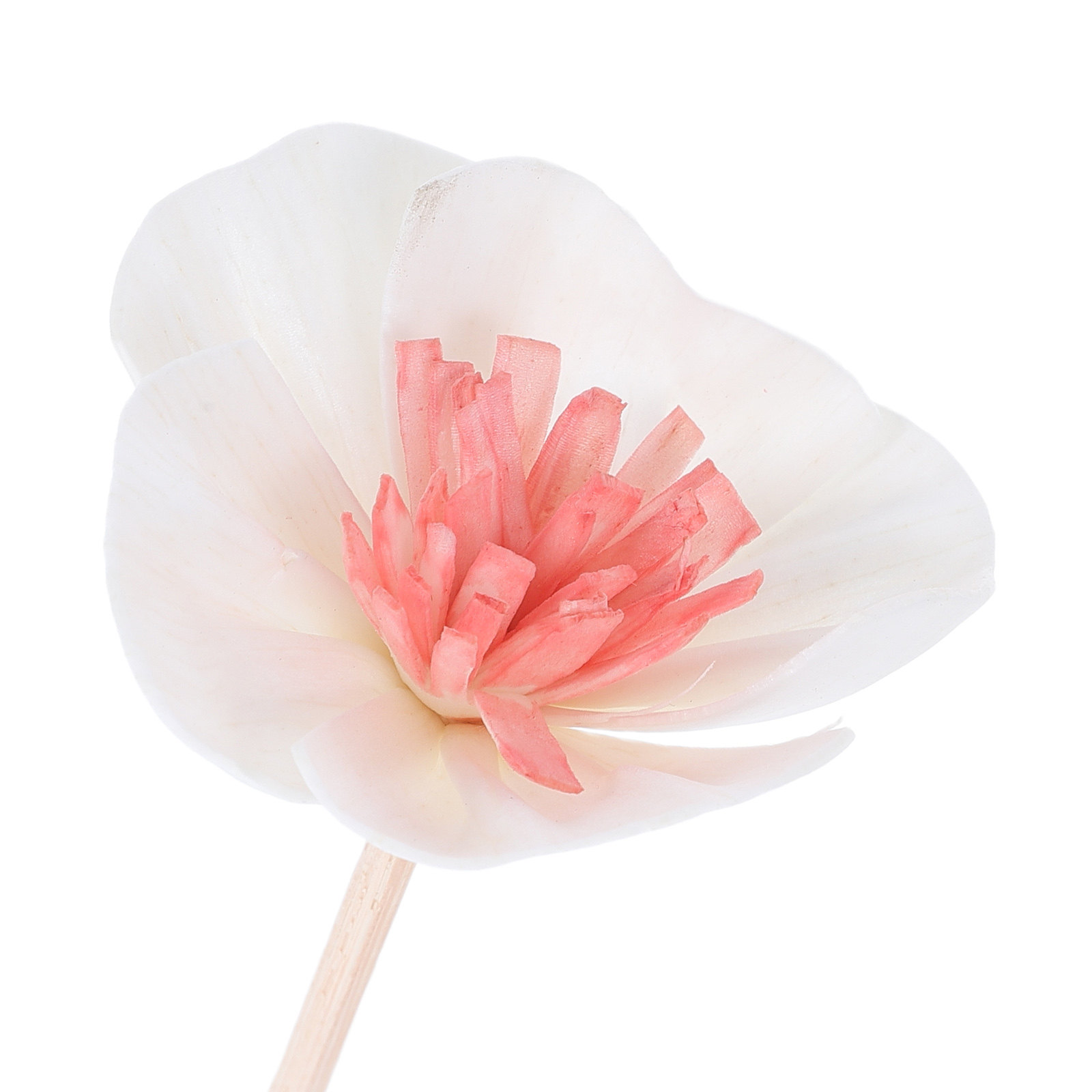 10Pcs Essential Oil Diffuser S - Home Bathroom Essentials recension och pris